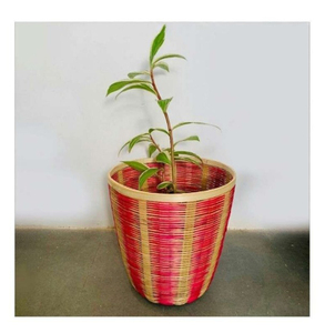 Corbeille à déchets artisanale en bambou avec un design tissé à la main de qualité supérieure pour salon, cuisine, bureau, suites d'hôtel et intérieur contemporain - Product Image 6