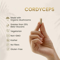 OLLI OEM/ODM/OBM Extrait de Mycélium de Cordyceps Sinensis Pur en Poudre, Capsule d'Extrait de Cordyceps Personnalisable