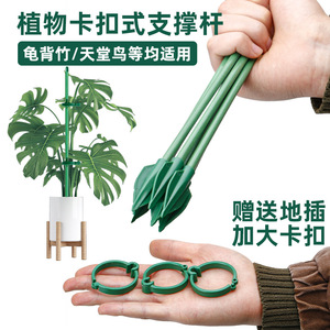 Piquets de Soutien pour Plantes Autonomes, Revêtement Plastique, Anti-Basculement, Accessoires de Jardinage - Product Image 3