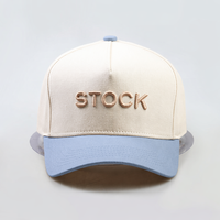 Op maat gemaakte fabrieks-5-delige 100% katoenen pet met 3D geborduurd opgezet logo, gestructureerde dad cap, hoge kwaliteit baseballpet