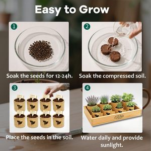 <span class=keywords><strong>Kit</strong></span> de Bonsái de Interior Ecológico de Diseño Moderno y Lujoso, con Fibra Vegetal, Manualidades de Jardinería para Principiantes y Adultos - Product Image 5