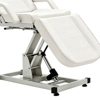 Lit de beauté électrique portable de luxe avec fauteuil de massage confortable et lit facial très demandé pour usage domestique