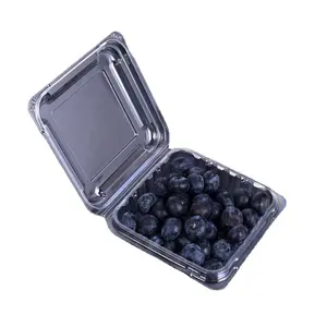 2023 neue Art heißer Verkauf 125g Clear Plastic Falt schachteln für Obst Punnet Blueberry Verpackung