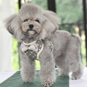 ชุดสายจูงและเสื้อกั๊กสำหรับสุนัขพันธุ์<span class=keywords><strong>ชิ</strong></span><span class=keywords><strong>วา</strong></span><span class=keywords><strong>วา</strong></span> <span class=keywords><strong>ราคา</strong></span>ประหยัด ปรับขนาดได้ สำหรับสุนัขพันธุ์เล็ก พินเชอร์ ยอร์กเชียร์ สายจูงสัตว์เลี้ยง - Product Image 4