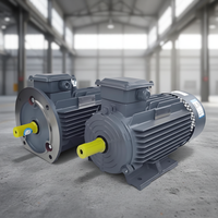 Moteur électrique triphasé AC/DC Schorch ATB VEM Hoyer Marathon LENZE à induction, garantie mondiale, 18,5 kW, 22 kW, 30 kW, 37 kW, 50 kW