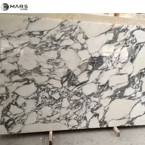 ขัดอิตาลี Marmi Arabescato Di Carrara Bianco หินอ่อนสีขาว