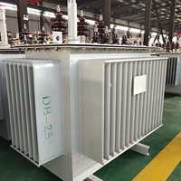 Transformador de Potencia Trifásico de 10KV 160KVA, Sumergido en Aceite, Autoenfriado, Tipo Flyback, de Aluminio, 50/60Hz