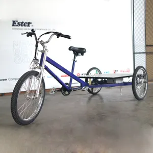 Сложный эфир высокое качество 3 колеса Электрический Cargo трехколесный велосипед