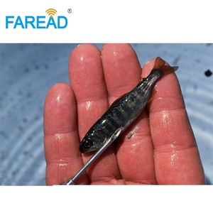 ISO 11784/11785 <span class=keywords><strong>Nano</strong></span> RFID em4305 <span class=keywords><strong>chip</strong></span> động vật Ống ThủY Tinh 8 mét không thấm nước mini theo dõi RFID Glass tag <span class=keywords><strong>chip</strong></span> cho cá - Product Image 2