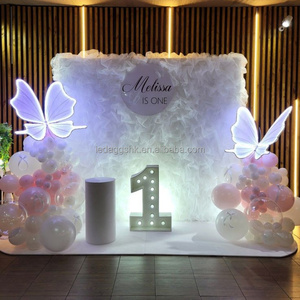 Decoración para Fiestas LEDA, Tela de Tul Blanca para Pared, Cortina para Bodas, Decoración de Escenarios para Eventos - Product Image 3