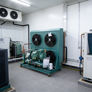 Unidad de Condensación de Baja Temperatura de 10HP, Unidad de Refrigeración Enfriada por Aire para Cámaras Frigoríficas y Congeladores -25°C ° C - Product Image 3