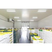 Cámara Frigorífica Comercial, Almacén Refrigerado, Contenedor Congelador de 20 pies, Cámara Frigorífica para Carnes, Verduras y Pescado