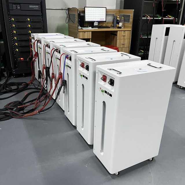 ESS Lifepo4 Battery 10kwh 15kWh 30kWh 300Ah 51.2V 8000 Cycles Mobile Mounted Lithium Solar Battery Floor Home Energy Storage
