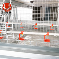Cage d'élevage de type H de haute qualité, galvanisée à chaud, système entièrement automatique pour élevages avicoles de grande envergure