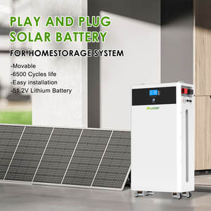 DELONGTOP Batterie solaire mobile 15KWH Deep Cylce Lithium Ion LiFePO4 Batterie 51.2V 300AH Onduleur Panneau solaire Batterie 48V - Product Image 3