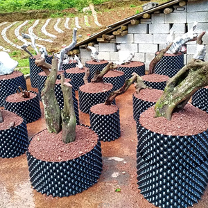 Bán buôn tùy chỉnh PE nồi Nhựa không khí nhựa không khí cắt tỉa nồi gốc cây phát triển <span class=keywords><strong>container</strong></span> - Product Image 4