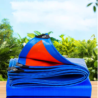 Bâche en polyéthylène haute résistance (HDPE) ondulée, bâche agricole bleue et orange, rouleau de bâche personnalisé en PE