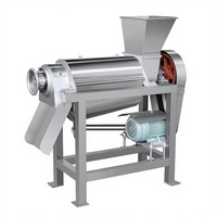 Extracteur de jus automatique à froid pour carottes, fruits, légumes, oranges et cannes à sucre – Machine à jus en spirale commerciale