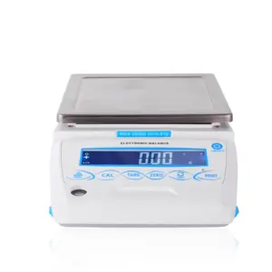 Promotional Big Capacity 6000g High Weighing Various Durable Using Electric Precision Balance