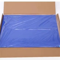 OEM Custom Sticky Mat Adhesive Floor Mat for Cleanroom Laboratory Hospital Pharmaceutical Factory Dust Prevention