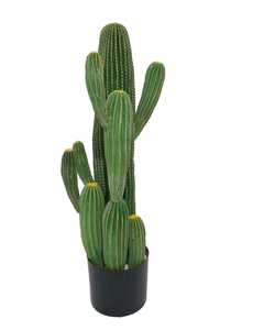 Venta caliente barato plantas tropicales de interior pequeña planta del desierto en maceta bonsái <span class=keywords><strong>cactus</strong></span> suculento Artificial - Product Image 5