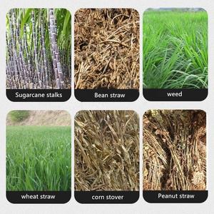 Nouveau Broyeur Électrique pour la broyage de pailles sèches/humides, de herbe, de soie, de paille de bétail/ovin, de maïs, de tiges – Capacité de 1-2 tonnes/heure - Product Image 5