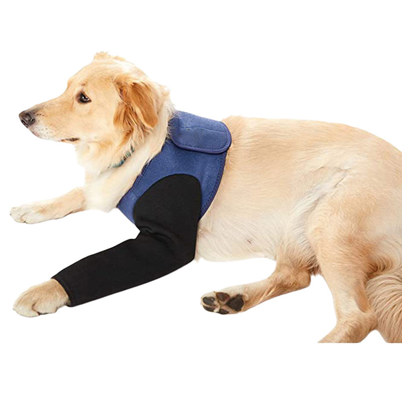 สีฟ้า &amp; สีดำ