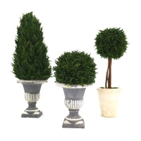 Topiaire sphérique en cyprès préservé de 42 cm de hauteur, plante artificielle réaliste en forme de cyprès, ornement décoratif pour l'intérieur et l'extérieur