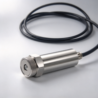 Industrieller 4-20mA Vibrationsgeschwindigkeitssensor 10-1kHz Zweidraht-Vibrationstransmitter Motorzustandsmonitor Fehlererkennung OEM