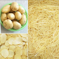 Professionele Frietjes Snijmachine Voor Aardappel Appelwortel Cassave Met Efficiënte Motor Technologie