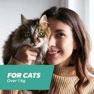 Traitement antiparasitaire pour chat de 4 mois, protection externe longue durée pour chats, fournitures de soins pour animaux de compagnie - Product Image 2