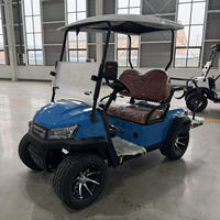 Voiturette de golf électrique 2 places, moteur 4KW, batterie au plomb ou au lithium 60V 100AH pour villa, hôtel, parc