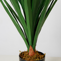 Fausse plante Dracaena Anita, plantes de table, petite plante artificielle, arbre artificiel, décoration d'intérieur, 60cm