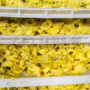 High-quality fruit <b>drying</b> room intelligent temperature control <b>equipment</b> washing slicing and <b>drying</b> yellow peaches - Product Image 4