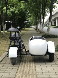 Motocicletas, Sidecars, Mini <span class=keywords><strong>Coches</strong></span> y Bicicletas Eléctricas para Adultos, Ideales para Viajes Tranquilos de Personas Mayores - Product Image 4