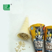 Biscuit au chocolat en forme de cornet de glace 15G