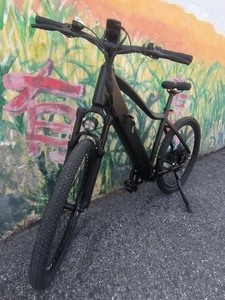 Bicicleta Eléctrica Wanderer Eel con Batería en el Tubo Inferior, Alcance de 40 km, 350w, Disco de Litio, 7 Velocidades, para Desplazamientos Diarios y Paseos de Ocio - Product Image 6