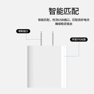 PD20W Rapide Compatible avec les Téléphones Apple Chargeur US Certifié Power Bank Tête de Charge Adaptateur Standard UE - Product Image 2