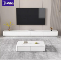 MEGA 2024 Meubles de salon modernes Armoire TV de luxe en métal et combinaison d'une table à thé Nouveau design de luxe léger
