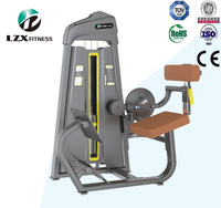 Équipement de musculation professionnel pour salle de sport, équipement de musculation, machine d'extension dorsale