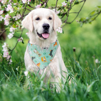 Nouveautés : Bandanas personnalisés imprimés avec des dessins animés, design carré, accessoires pour animaux de compagnie, bandanas tendance pour chiens et chats