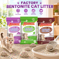 Sable de litière pour chat en bentonite écologique, agglomération rapide, faible poussière, pour grossistes et animaleries