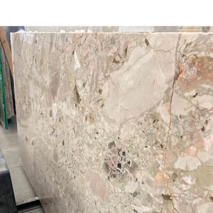 Tostone Ceppo Breccia Rosa marmo una superficie audace e levigata che solleva bagni e pareti interne con bellezza naturale - Product Image 1