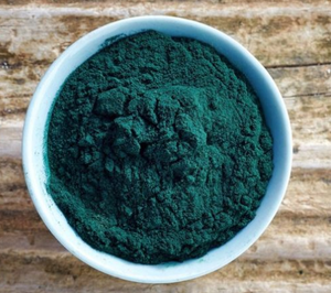 Essiccatore <span class=keywords><strong>a</strong></span> spruzzo per lieviti serie <span class=keywords><strong>gpl</strong></span> - Product Image 6