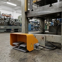 YH3574 contrôleur de pédale de commutateur de pied de machine à cintrer de poinçon et de cisaillement de puissance élevée pour des cylindres de serrure