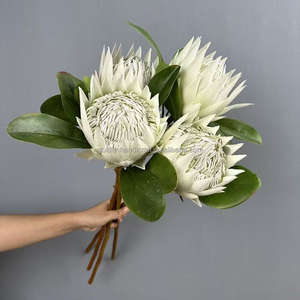 Flores artificiales populares Protea de tallo grande flocado Protea flor para decoraciones del hogar del banquete de boda - Product Image 4