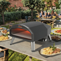 Four à pizza portable à gaz en acier inoxydable de 16 pouces pour pique-niques, patio et grillades en extérieur
