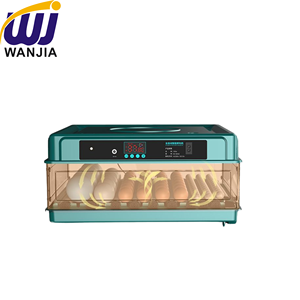 Incubateur à œufs de poulet WANJIA, machine d'éclosion automatique numérique pour poulet, canard, caille et oie, volaille - Product Image 4