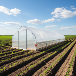Serre tunnel 12' x 60' avec film plastique transparent EVA 6 mil, cadre froid et côtés enroulables à manivelle pour usage agricole - Product Image 2