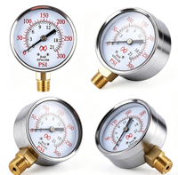 Manomètre anti-vibrations avec boîtier en acier inoxydable, cadran en alliage de cuivre, fixation radiale et axiale pour systèmes de pipeline industriels